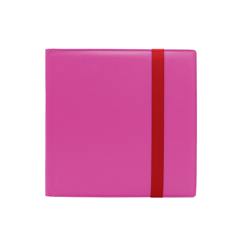 Dex Protection 12 Pocket Binder