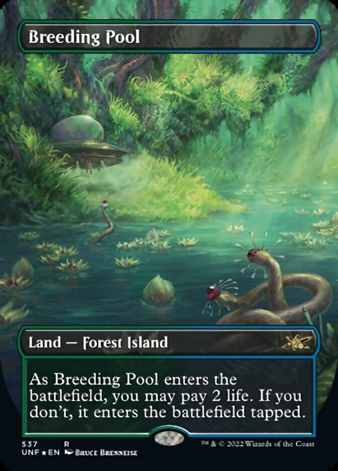 Breeding Pool (Borderless) (Galaxy Foil) [Unfinity] | Amazing Games TCG