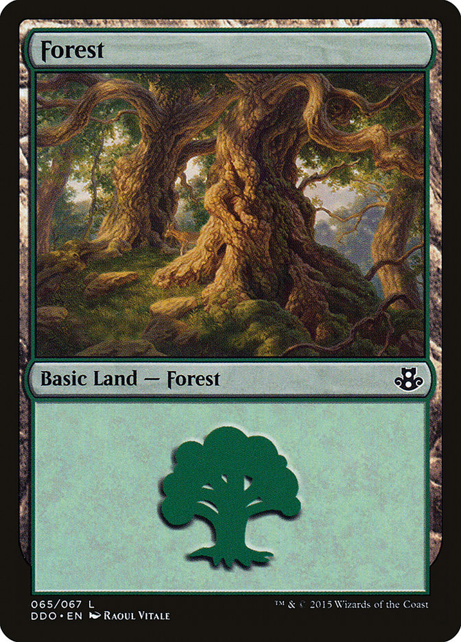 Forest (65) [Duel Decks: Elspeth vs. Kiora] | Amazing Games TCG