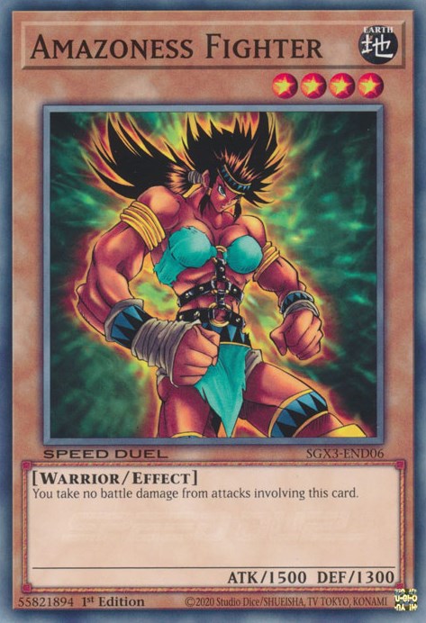 Amazoness Fighter [SGX3-END06] Common | Amazing Games TCG