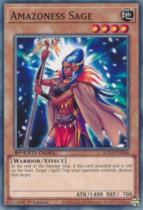 Amazoness Sage [SGX3-END08] Common | Amazing Games TCG