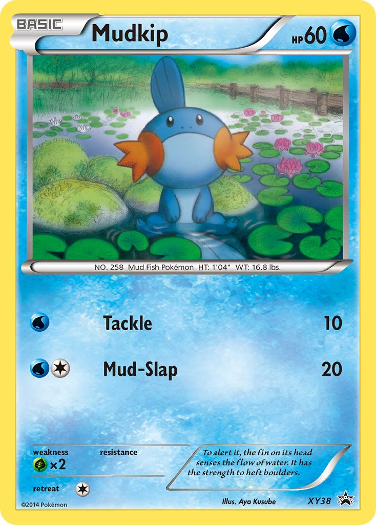 Mudkip (XY38) [XY: Black Star Promos] | Amazing Games TCG