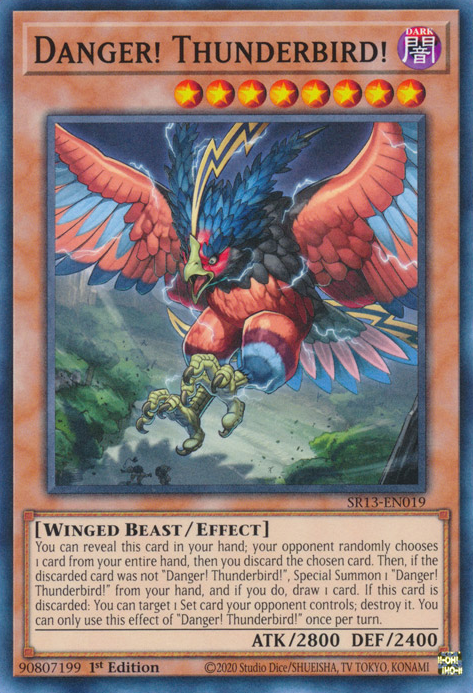 Danger! Thunderbird! [SR13-EN019] Common | Amazing Games TCG