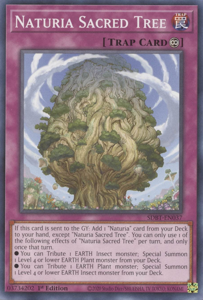 Naturia Sacred Tree [SDBT-EN037] Common | Amazing Games TCG