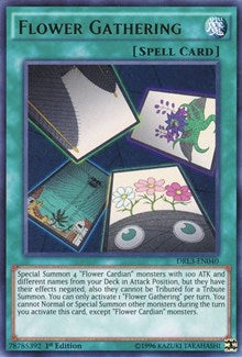 Flower Gathering [Dragons of Legend: Unleashed] [DRL3-EN040] | Amazing Games TCG