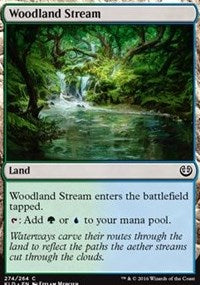 Woodland Stream [Kaladesh] | Amazing Games TCG