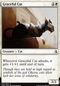 Graceful Cat [Amonkhet] | Amazing Games TCG