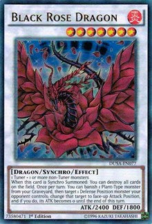 Black Rose Dragon [Duelist Saga] [DUSA-EN077] | Amazing Games TCG