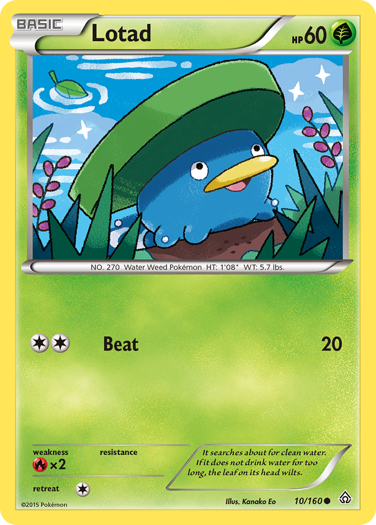 Lotad (10/160) [XY: Primal Clash] | Amazing Games TCG