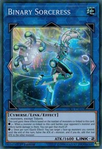 Binary Sorceress [Structure Deck: Cyberse Link] [SDCL-EN043] | Amazing Games TCG