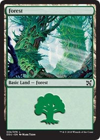 Forest (34) [Duel Decks: Elves vs. Inventors] | Amazing Games TCG