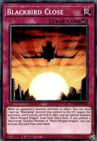 Blackbird Close [LDS2-EN046] Common | Amazing Games TCG