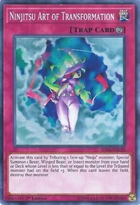 Ninjitsu Art of Transformation [Shadows in Valhalla] [SHVA-EN028] | Amazing Games TCG