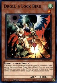 Droll & Lock Bird [Structure Deck: Order of the Spellcasters] [SR08-EN021] | Amazing Games TCG