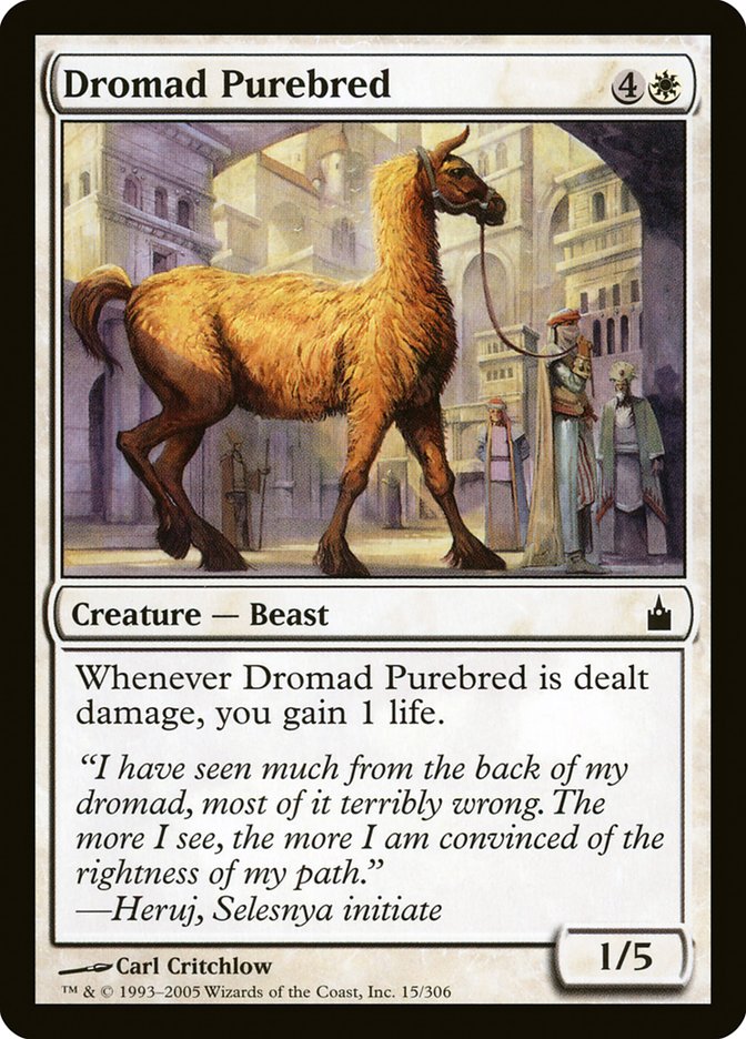 Dromad Purebred [Ravnica: City of Guilds] | Amazing Games TCG