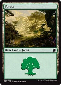 Forest (64) [Magic Game Night 2019] | Amazing Games TCG