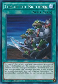 Ties of the Brethren [SR10-EN030] Common | Amazing Games TCG