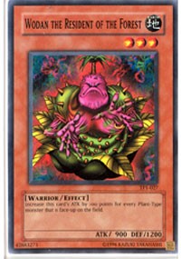 Wodan the Resident of the Forest [Tournament Pack 1] [TP1-027] | Amazing Games TCG