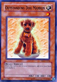 Outstanding Dog Marron [Dark Revelation Volume 1] [DR1-EN224] | Amazing Games TCG