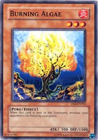 Burning Algae [Dark Revelation Volume 2] [DR2-EN063] | Amazing Games TCG