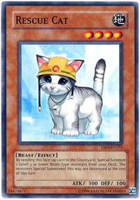 Rescue Cat [Dark Revelation Volume 3] [DR3-EN153] | Amazing Games TCG