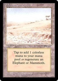 Elephant Graveyard [Arabian Nights] | Amazing Games TCG