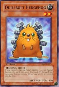 Quillbolt Hedgehog [5D's Starter Deck 2009] [5DS2-EN013] | Amazing Games TCG