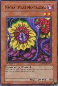 Magical Plant Mandragola [Structure Deck: Spellcaster's Command] [SDSC-EN012] | Amazing Games TCG