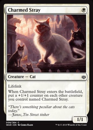 Charmed Stray [War of the Spark] | Amazing Games TCG