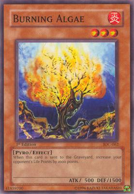 Burning Algae [IOC-062] Common | Amazing Games TCG