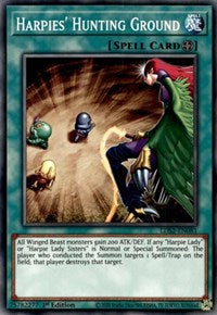 Harpies' Hunting Ground [LDS2-EN081] Common | Amazing Games TCG