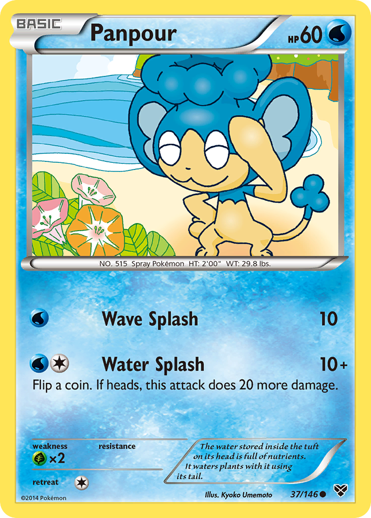 Panpour (37/146) [XY: Base Set] | Amazing Games TCG