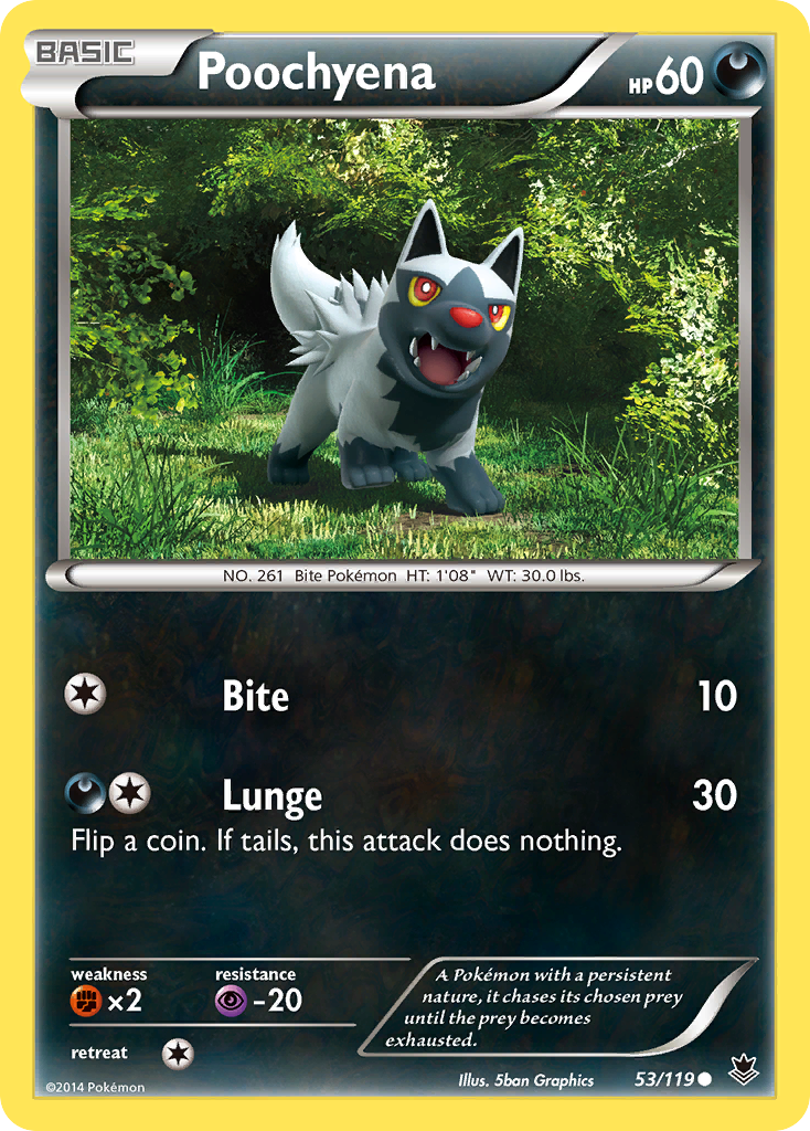 Poochyena (53/119) [XY: Phantom Forces] | Amazing Games TCG