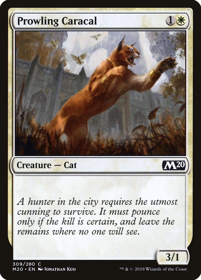 Prowling Caracal [Core Set 2020] | Amazing Games TCG