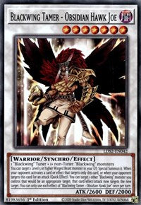 Blackwing Tamer - Obsidian Hawk Joe [LDS2-EN042] Common | Amazing Games TCG