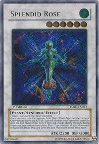 Splendid Rose (UTR) [The Shining Darkness] [TSHD-EN043] | Amazing Games TCG