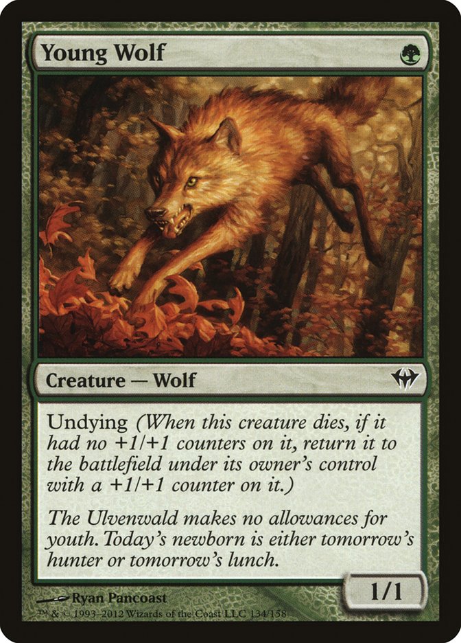 Young Wolf [Dark Ascension] | Amazing Games TCG