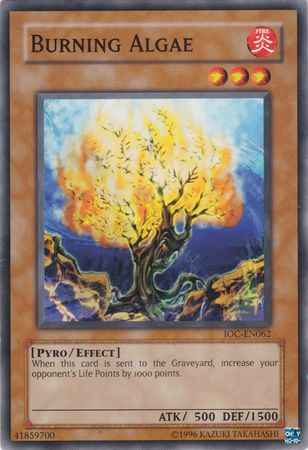 Burning Algae [IOC-EN062] Common | Amazing Games TCG