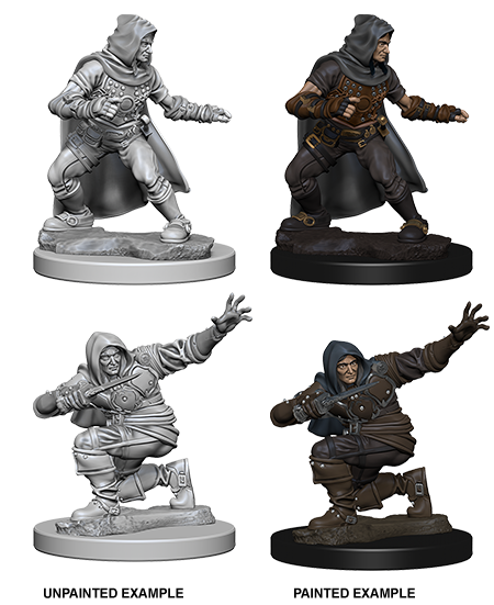 Pathfinder Deep Cuts Unpainted Miniatures: Human Male Rogue | Amazing Games TCG