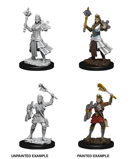 D&D Nolzur's Marvelous Miniatures: Human Cleric | Amazing Games TCG