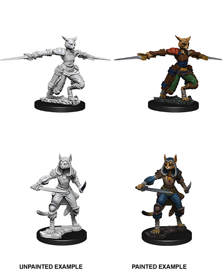 D&D Nolzur's Marvelous Miniatures: Tabaxi Rogue | Amazing Games TCG