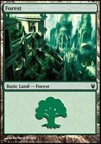 Forest (90) [Duel Decks: Izzet vs. Golgari] | Amazing Games TCG