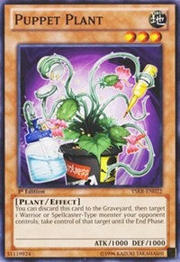 Puppet Plant [Starter Deck: Kaiba Reloaded] [YSKR-EN022] | Amazing Games TCG