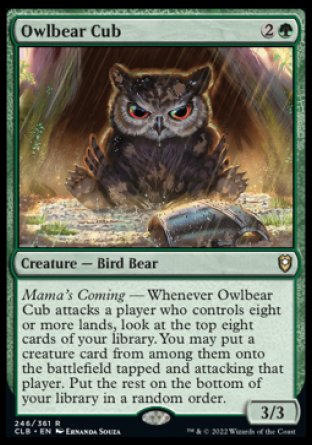 Owlbear Cub [Commander Legends: Battle for Baldur's Gate] | Amazing Games TCG