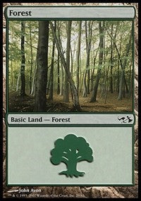 Forest (29) [Duel Decks: Elves vs. Goblins] | Amazing Games TCG