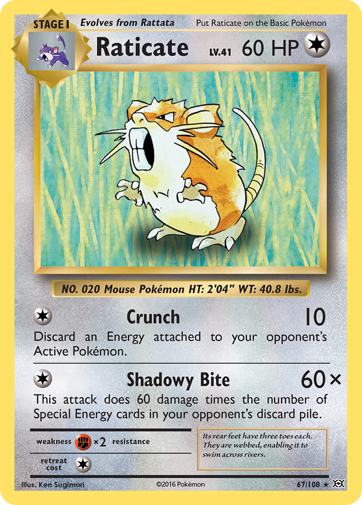 Raticate (67/108) [XY: Evolutions] | Amazing Games TCG