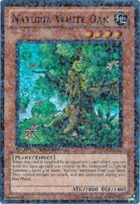 Naturia White Oak [Duel Terminal 4] [DT04-EN081] | Amazing Games TCG