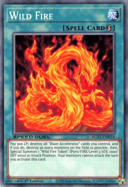 Wild Fire [SGX1-ENH16] Common | Amazing Games TCG