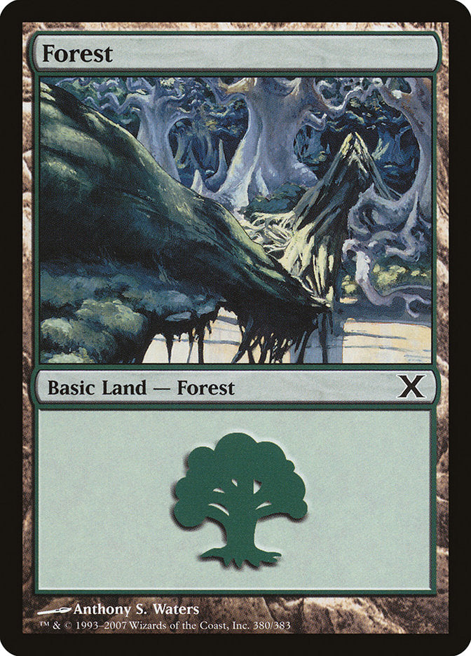 Forest (380) [Tenth Edition] | Amazing Games TCG
