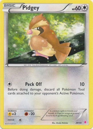 Pidgey (29/30) [XY: Trainer Kit 1 - Wigglytuff] | Amazing Games TCG